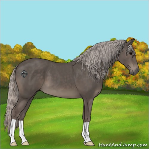 Horse Color:Silver Black 