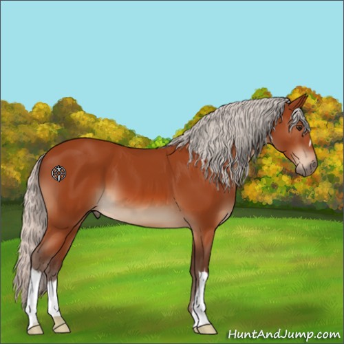 Horse Color:Silver Brown 