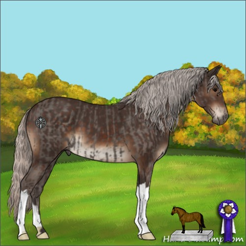 Horse Color:Silver Black  and Silver Brown 