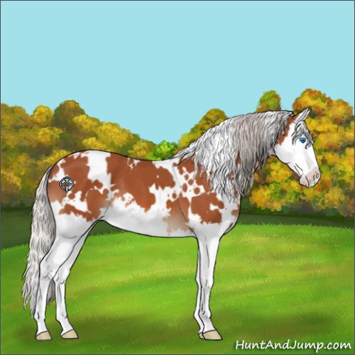 Horse Color:White Spotted Silver Bay Splash 