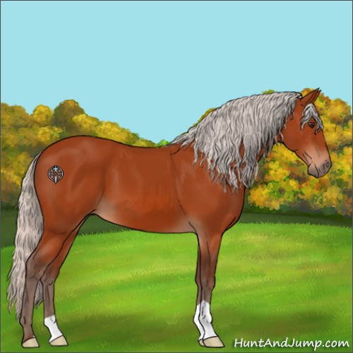 Horse Color:Silver Brown 