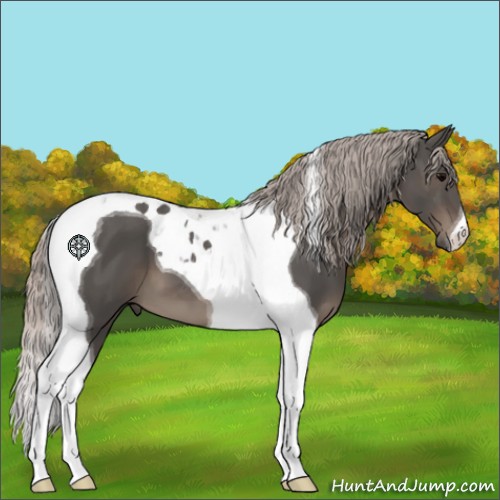 Horse Color:Silver Black Tobiano 