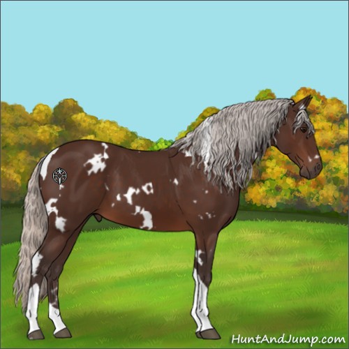 Horse Color:White Spotted Silver Brown Tobiano 