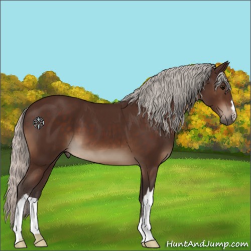 Horse Color:Silver Brown 
