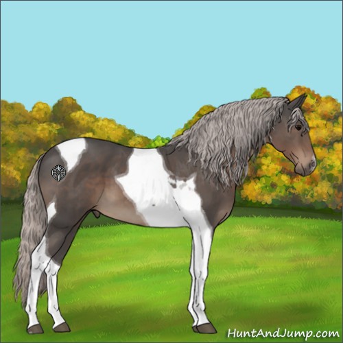 Horse Color:Silver Black Tobiano 