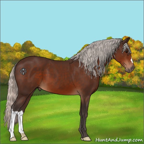 Horse Color:Silver Brown 