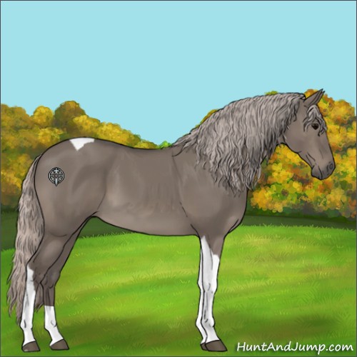 Horse Color:Silver Grullo Tobiano 