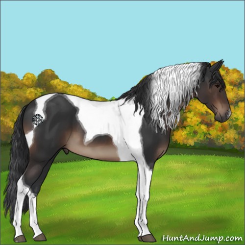 Horse Color:Brown Tobiano 