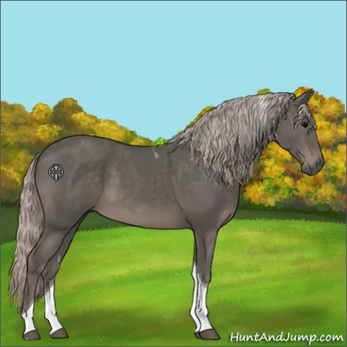 Horse Color:Silver Black Tobiano 