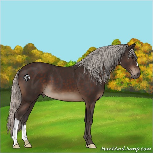 Horse Color:Silver Brown 