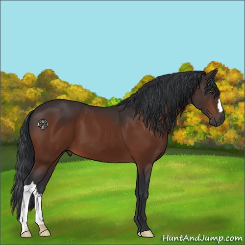Horse Color:Brown 