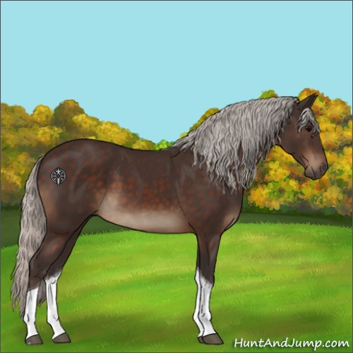 Horse Color:Silver Brown Tobiano 