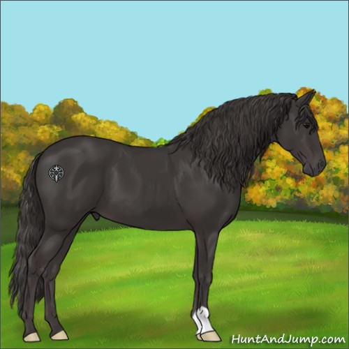 Horse Color:Smoky Black 