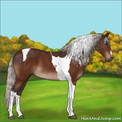 Horse Color:Silver Brown Tobiano 