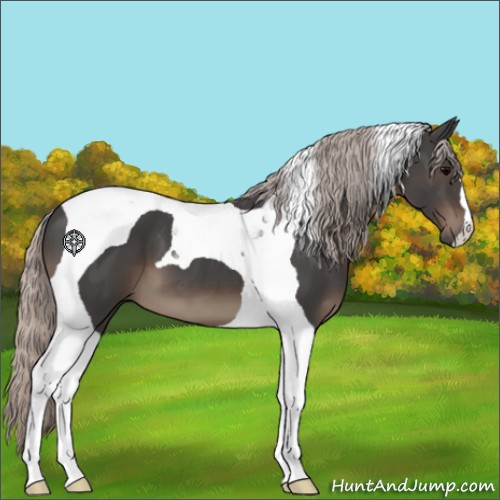 Horse Color:Silver Black Tobiano 
