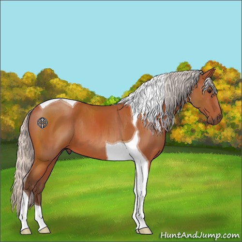Horse Color:Silver Bay Tobiano 
