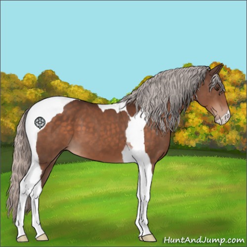 Horse Color:Silver Brown Tobiano 