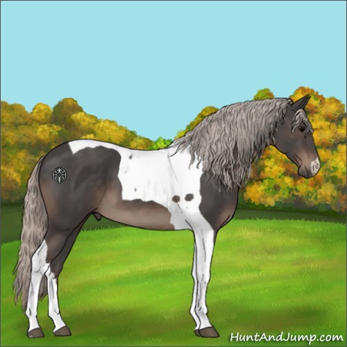 Horse Color:Silver Black Tobiano 
