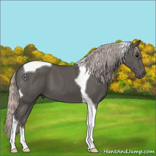 Horse Color:Silver Black Tobiano 