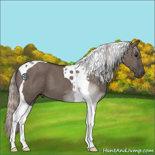 Horse Color:Silver Grullo Tobiano 