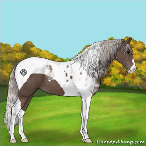 Horse Color:Silver Black Tobiano 