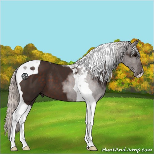 Horse Color:Silver Brown Tobiano 
