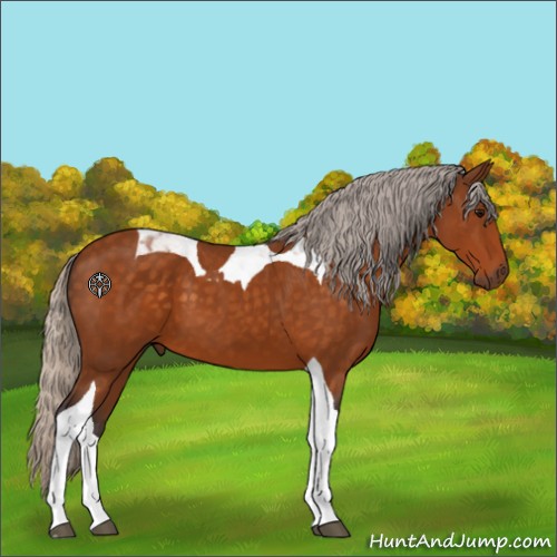 Horse Color:Silver Buckskin Tobiano 