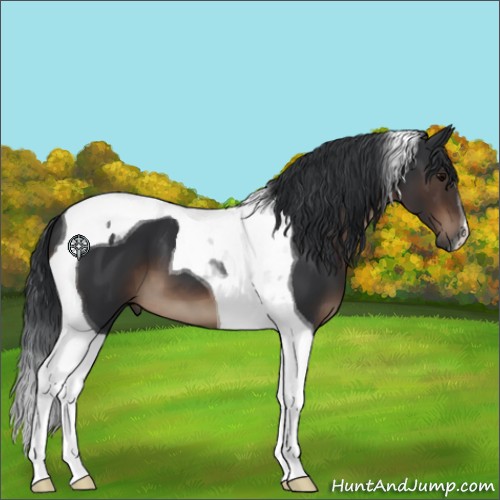Horse Color:Brown Tobiano 