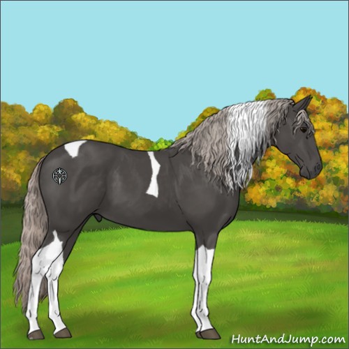 Horse Color:Silver Black Tobiano 