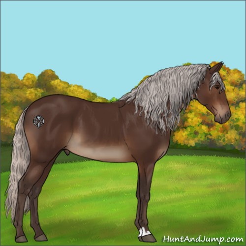 Horse Color:Silver Brown 