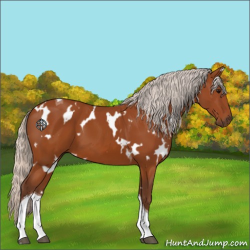 Horse Color:White Spotted Silver Buckskin Tobiano 