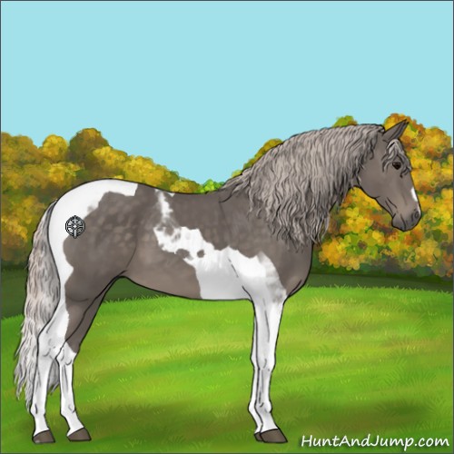 Horse Color:Silver Black Tobiano 