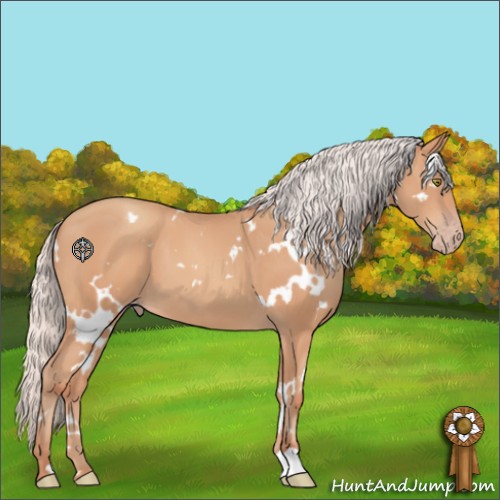Horse Color:White Spotted Silver Amber Champagne 