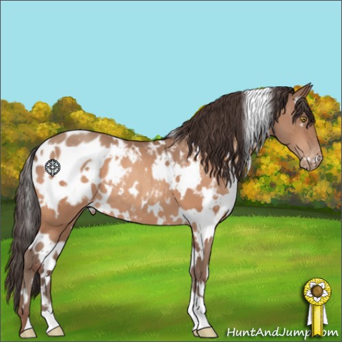 Horse Color:White Spotted Sable Champagne Appaloosa 