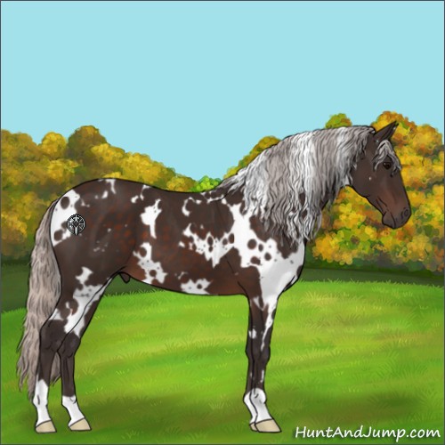 Horse Color:White Spotted Silver Brown 
