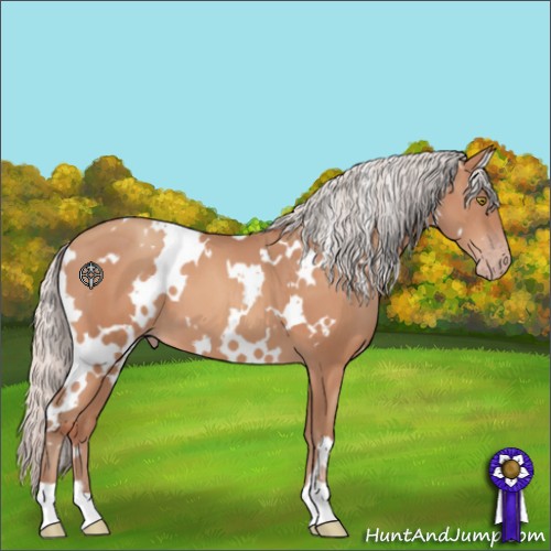 Horse Color:White Spotted Silver Sable Champagne 