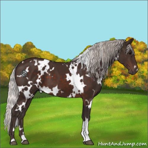 Horse Color:White Spotted Silver Brown 