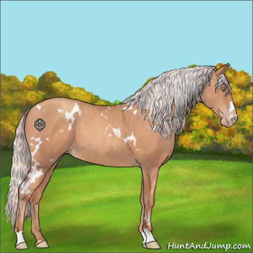 Horse Color:White Spotted Silver Sable Champagne 