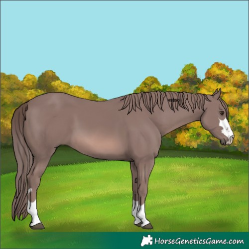 Horse Color:Platinum Chestnut 