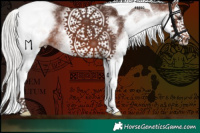Horse Color:White Spotted Silver Bay Splash Tobiano 