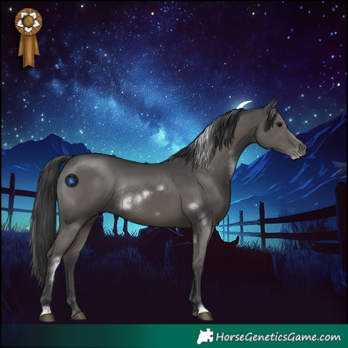 Horse Color:White Spotted Grullo Frame Rabicano 