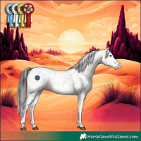 Horse Color:Brown Dun Sabino Rabicano