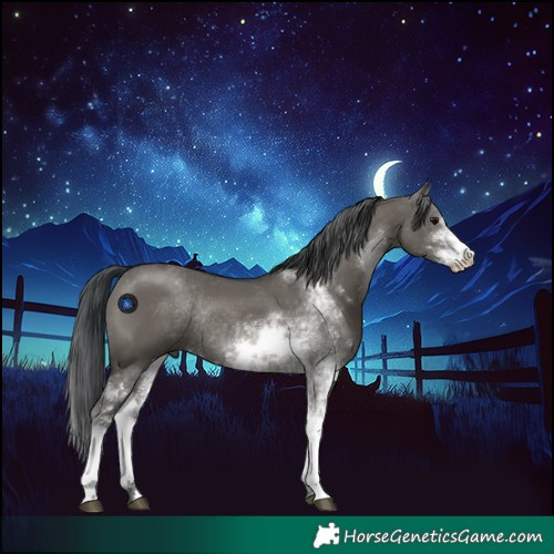 Horse Color:Grullo Sabino Rabicano 