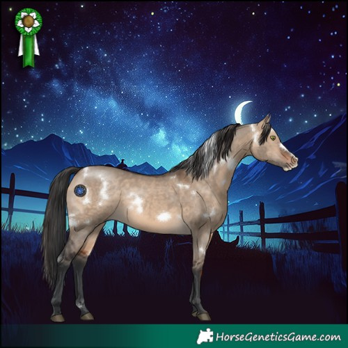 Horse Color:White Spotted Brown Dun Frame Rabicano 