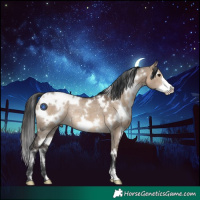 Horse Color:White Spotted Brown Dun Frame Rabicano 