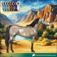 Horse Color:White Spotted Brown Dun Frame Rabicano 