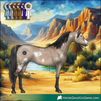 Horse Color:White Spotted Brown Dun Frame Rabicano 