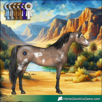 Horse Color:White Spotted Brown Dun Frame Rabicano 