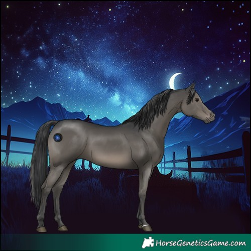 Horse Color:Grullo Sabino Rabicano 