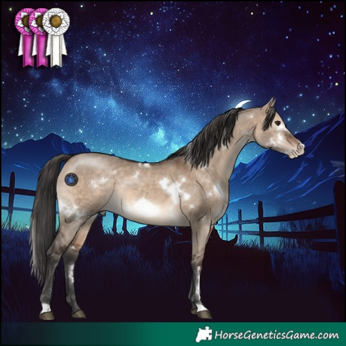 Horse Color:White Spotted Brown Dun Frame Rabicano 